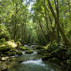 river in the forest
