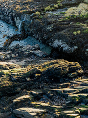 Isle of Bute, Firth Of Clyde, Scotland, UK