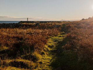 Isle of Bute, Firth Of Clyde, Scotland, UK