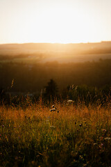 Sunset in Bomal-sur-Ourthe, Durbuy, Belgium