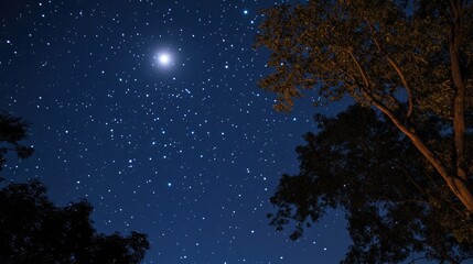 A serene, cloudless night sky filled with countless twinkling stars and a bright moon. Concept of a starry night