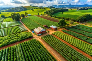 Fototapeta premium Aerial View of Food Safety Inspection on a Plantation, Focused on Crop Quality Control and Sustainable Practices in Agriculture, Ensuring Food Safety and Environmental Health