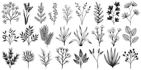 Vector silhouette collection of diverse botanical illustrations featuring various plant types on a white background