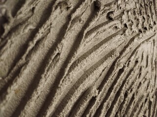 texture of the stone