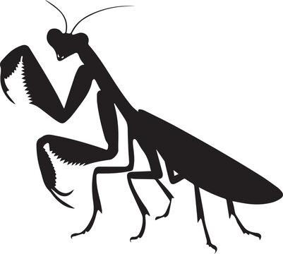 black praying mantis silhouette on white clip art preview
