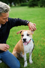 Guy and his dog having a fun in the nature. Man playfully tugging his dog's ear. A walk with a dog...