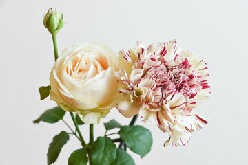 薔薇とカーネーション