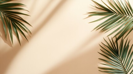 Palm Fronds Arranged on Beige Background With Shadows
