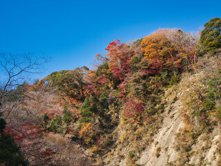 梅ヶ瀬渓谷の晩秋