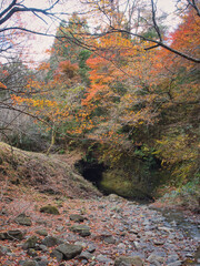 梅ヶ瀬渓谷の晩秋