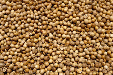 Organic food, spice coriander seeds