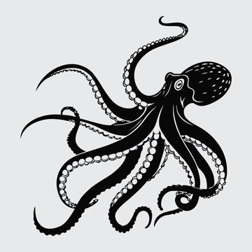 Octopas  silhouette illustration and artwork
