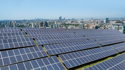 Expansive Solar Panel Array Overlooking a Modern City Skyline