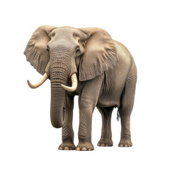 Fototapeta premium Majestic African Elephant, Wildlife Photo | Photorealistic imagery