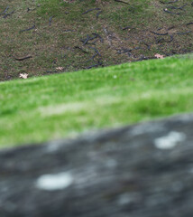 Rasenfläche in Hanglage