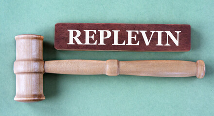 REPLEVIN - word on a white sheet with a judge's gavel and a stack of coins in the background