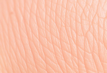 Macro Shot Showing Intricate Details Of Human Skin