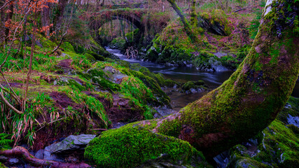 The Roman Bridge at Penmacho, Eyri/Snowdonia National Park