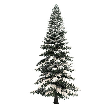 abstract snow tree isolated on transparent png background - 3D Illustration