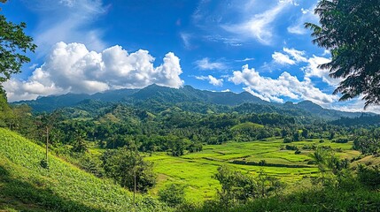Naklejka premium Mountain Landscape Rice Terraces Green Valley