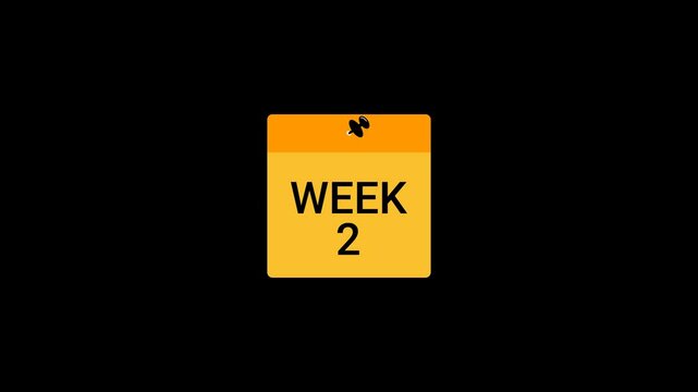 Week 2 Sticky note Animation
