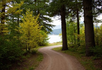 Obraz premium road in the forest