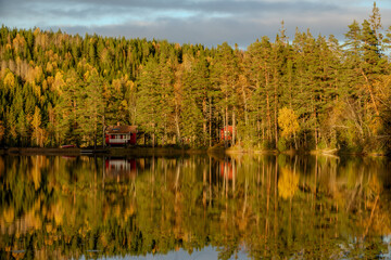 Autumn view at a lake