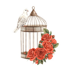 Vintage bird cage with bouquets of bright red roses and realistic white dove. Watercolor hand-drawn illustration in vintage style, for Valentine's Day, wedding, anniversary, invitations and cards