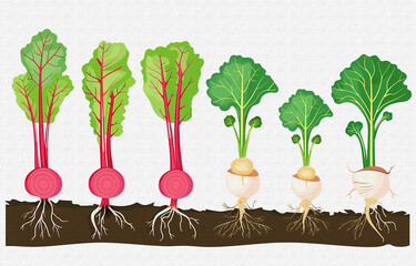 Fototapeta premium Fashion art background wall, decorative painting combination, golden elements, geometry, texture, color, art, watercolor, paint, abstract,