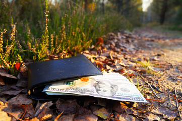 Lost wallet with money lies on ground in grass. Wallet with money on grass in forest. Wallet with...