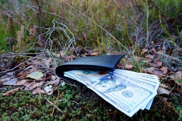 Lost wallet with money lies on ground in grass. Wallet with money on grass in forest. Wallet with...