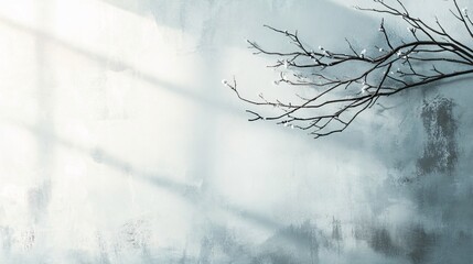 Winter Branch Against Textured Light Blue Wall