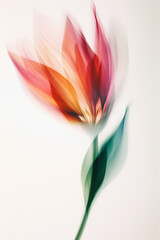 Abstract blur of a flower on white background