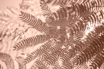Green branch against the background of a clear blue sky. Natural background. Color of the Year Mocha Mousse.