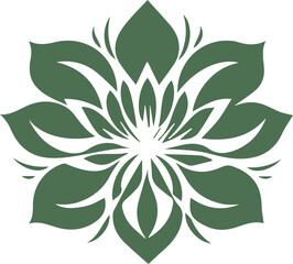 Beautiful flower art and mandala vector design