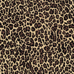 leopard, bright animal pattern, fluffy background, jaguar spots, modern stylish design