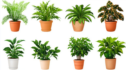 vibrant collection of houseplants in various pots, showcasing lush greenery and diverse leaf shapes, perfect for home decor