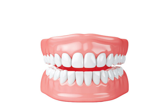 A detailed rendering of a set of human teeth in an open mouth, showcasing dental features and alignment.