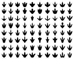Black footprints of dinosaurs on a white background	