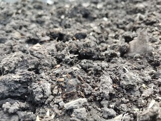 Close-up of Fertile Soil Texture for Gardening and Agriculture. Stock photo