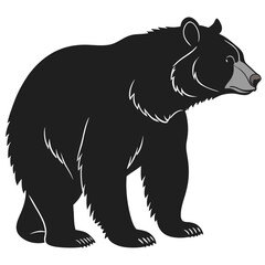 bear vector illustration