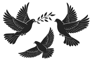 dove of peace
