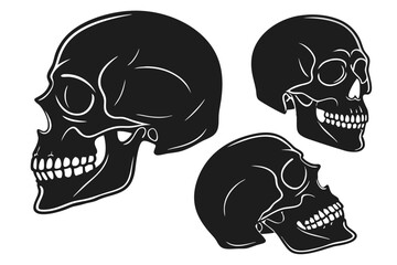 set of skull vector illustration