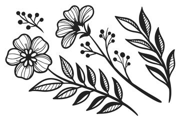Fototapeta premium black and white flowers