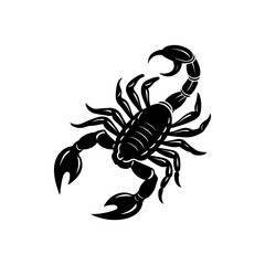 scorpion silhouette, black and white silhouette, vector and illustration