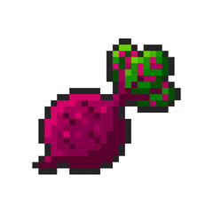 Obraz premium Pixel beetroot isolated on transparent background. Pixelated badge, game asset or computer arcade item. Beet icon. Vector pixel art illustration in 16 bit old style.