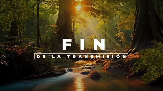 FIN DE LA TRANSMISION STEAMING