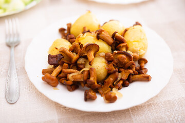 Delicious forest mushrooms chanterelles with young potatoes fried on white plate