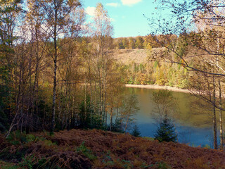 Der Stausee Nonnweiler im Herbst im Nationalpark Hunsrück-Hochwald. Aussicht von den...