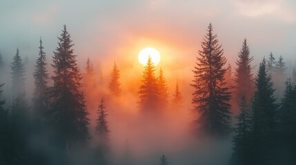 Fototapeta premium Ethereal Sunrise Through Misty Forest Silhouette with Vibrant Orange and Yellow Hues